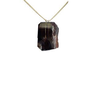 Authentic Petrified Wood Gold Hypoallergenic Necklace #7008